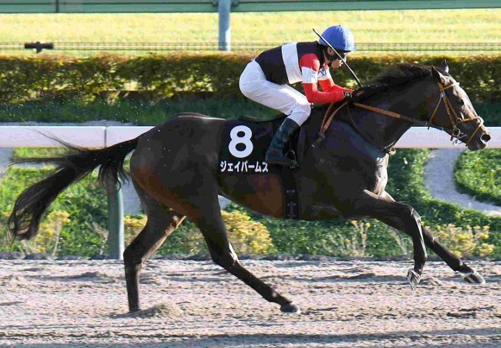 Ｒ7・ペルセウスSレースパネル　ジェイパームス