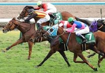 Ｒ7・ファンタジーSレースパネル　フェスティバルヒル