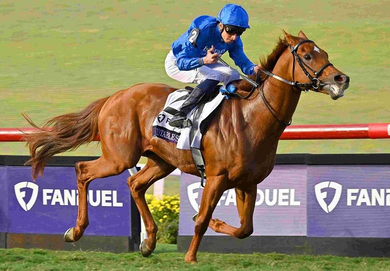 Ｒ7・ブリーダーズＣマイルレースパネル　ノータブルスピーチ