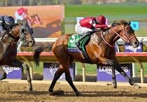 Ｒ7・ブリーダーズＣクラシックレースパネル　フォーエバーヤング