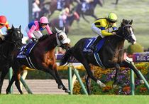 Ｒ7・天皇賞（秋）レースパネル　マスカレードボール