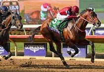 R7・ブリーダーズCクラシックレースパネル フォーエバーヤング