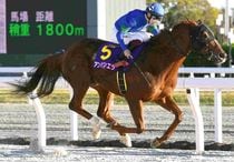 競馬,レース写真パネル | サンスポe-shop