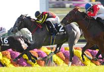 競馬,レース写真パネル | サンスポe-shop