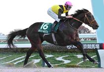 競馬,レース写真パネル | サンスポe-shop