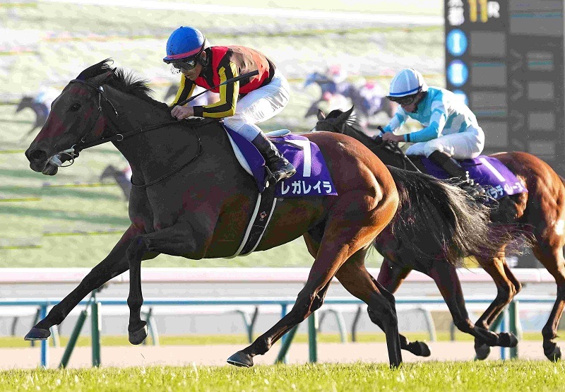 【パネル】リスグラシュー エリザベス女王杯 週刊競馬ギャロップ公式 パネル】リスグラシュー エリザベス女王杯 週刊競馬ギャロップ公式