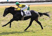 Ｒ7・メイクデビュー京都（11/22)5Rレースパネル　アルトラムス