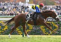 Ｒ7・赤松賞レースパネル　ヒズマスターピース