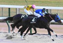 Ｒ7・霜月Sレースパネル　ウェイワードアクト