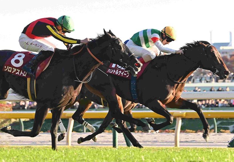 R7・東京スポーツ杯2歳Sレースパネル パントルナイーフ | サンスポe-shop