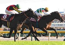 Ｒ7・東京スポーツ杯2歳Sレースパネル　パントルナイーフ