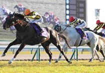 Ｒ7・マイルCSレースパネル　ジャンタルマンタル