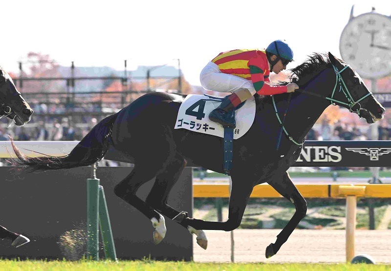 Ｒ7・メイクデビュー東京（11/30)6Rレースパネル　ゴーラッキー