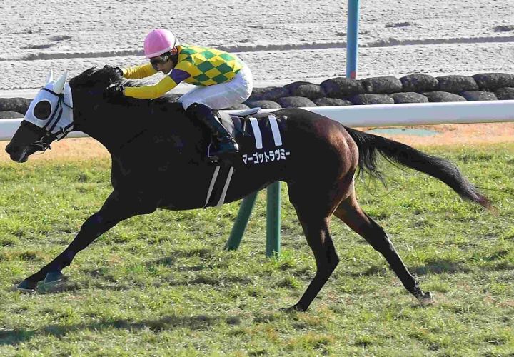 Ｒ7・白菊賞レースパネル　マーゴットラヴミー