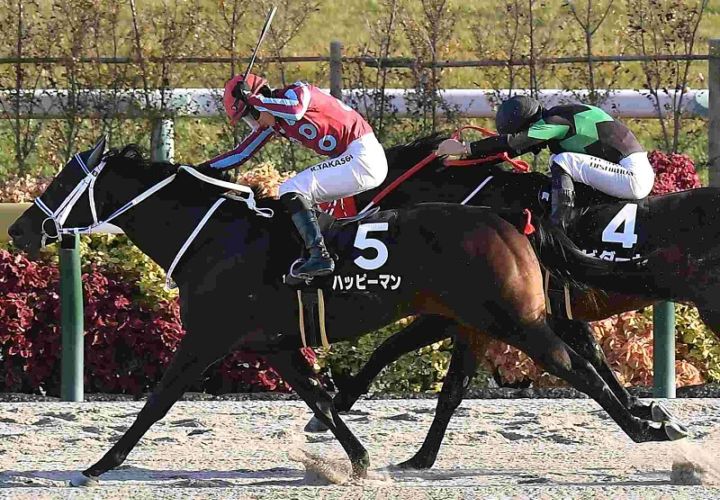 Ｒ7・オータムリーフSレースパネル　ハッピーマン