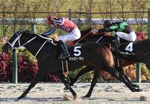 Ｒ7・オータムリーフSレースパネル　ハッピーマン