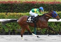 Ｒ7・カトレアSレースパネル　サトノボヤージュ