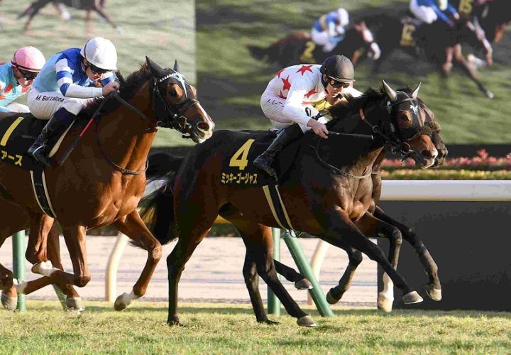 Ｒ7・キャピタルSレースパネル　ミッキーゴージャス