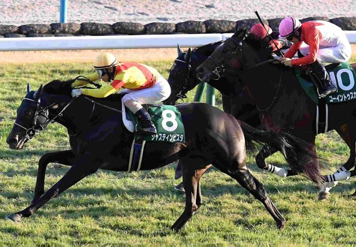 Ｒ7・京都2歳Sレースパネル　ジャスティンビスタ