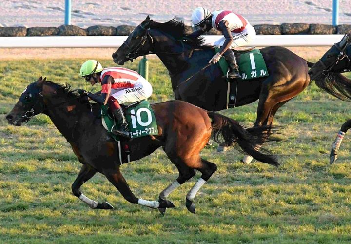 Ｒ7・京阪杯レースパネル　エーティーマクフィ