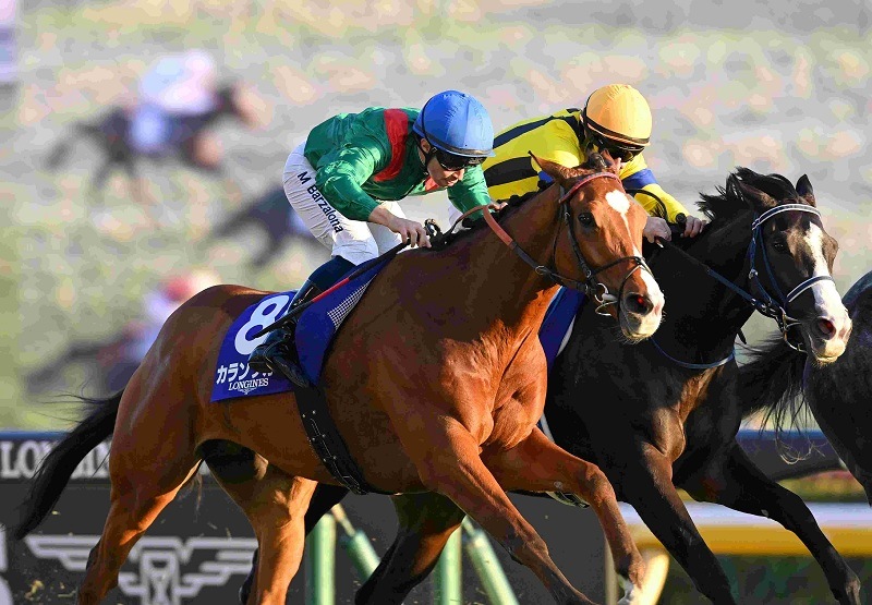 Ｒ7・ジャパンCレースパネル　　カランダガン