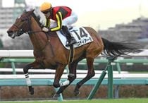 Ｒ7・メイクデビュー中山（12/6)5Rレースパネル　ゴディアーモ