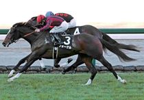 Ｒ7・さざんか賞レースパネル　フォーゲル