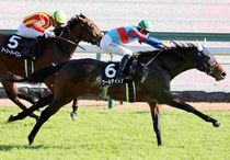 競馬,レース写真パネル | サンスポe-shop