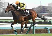 競馬,レース写真パネル | サンスポe-shop