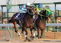 Ｒ7・チャンピオンズCレースパネル　ダブルハートボンド