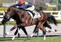 Ｒ7・メイクデビュー阪神（12/14)5Rレースパネル　ページターナー