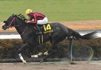 Ｒ7・師走Sレースパネル　ブライアンセンス