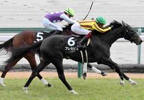 Ｒ7・つわぶき賞レースパネル　プレセピオ