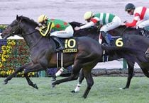 Ｒ7・リゲルSレースパネル　ランスオブカオス