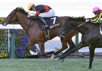 Ｒ7・エリカ賞レースパネル　コロナドブリッジ