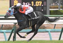 競馬,レース写真パネル | サンスポe-shop