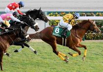 Ｒ7・中日新聞杯レースパネル　シェイクユアハート