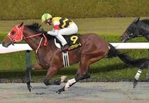 Ｒ7・ベテルギウスSレースパネル　ルシュヴァルドール