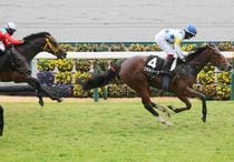 Ｒ7・クリスマスローズSレースパネル　コラルリーフ