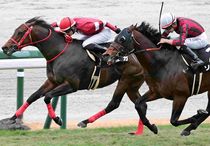 Ｒ7・タンザナイトSレースパネル　デュガ