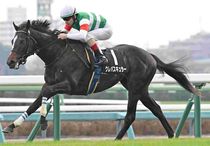 Ｒ7・ひいらぎ賞レースパネル　クレパスキュラー