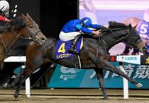 競馬 名馬 大きいパネル^o^ 競馬 名馬 大きいパネル^o^ 競馬 名馬 大きいパネル^o^ 競馬 名馬