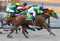 Ｒ7・2025YJSファイナルラウンド・中京第2戦レースパネル　トルーマンテソーロ（塩津璃菜騎手）