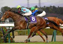 アグネスゴールド 週刊Gallop パネル 週刊Gallop」2025年8月24日号 | サンスポe-shop