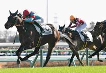 Ｒ7・メイクデビュー中山（12/28)6Rレースパネル　コンジェスタス