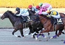 Ｒ7・ギャラクシーSレースパネル　ノーブルロジャー