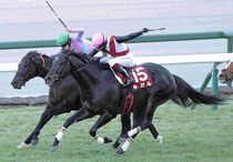 Ｒ7・阪神Cレースパネル　ルガル