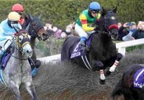 競馬,レース写真パネル | サンスポe-shop