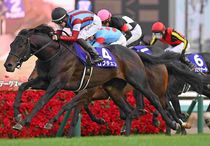 Ｒ7・ホープフルSレースパネル　ロブチェン