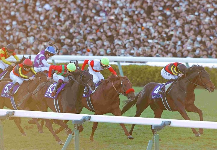 Ｒ7・有馬記念レースパネル　ミュージアムマイル③